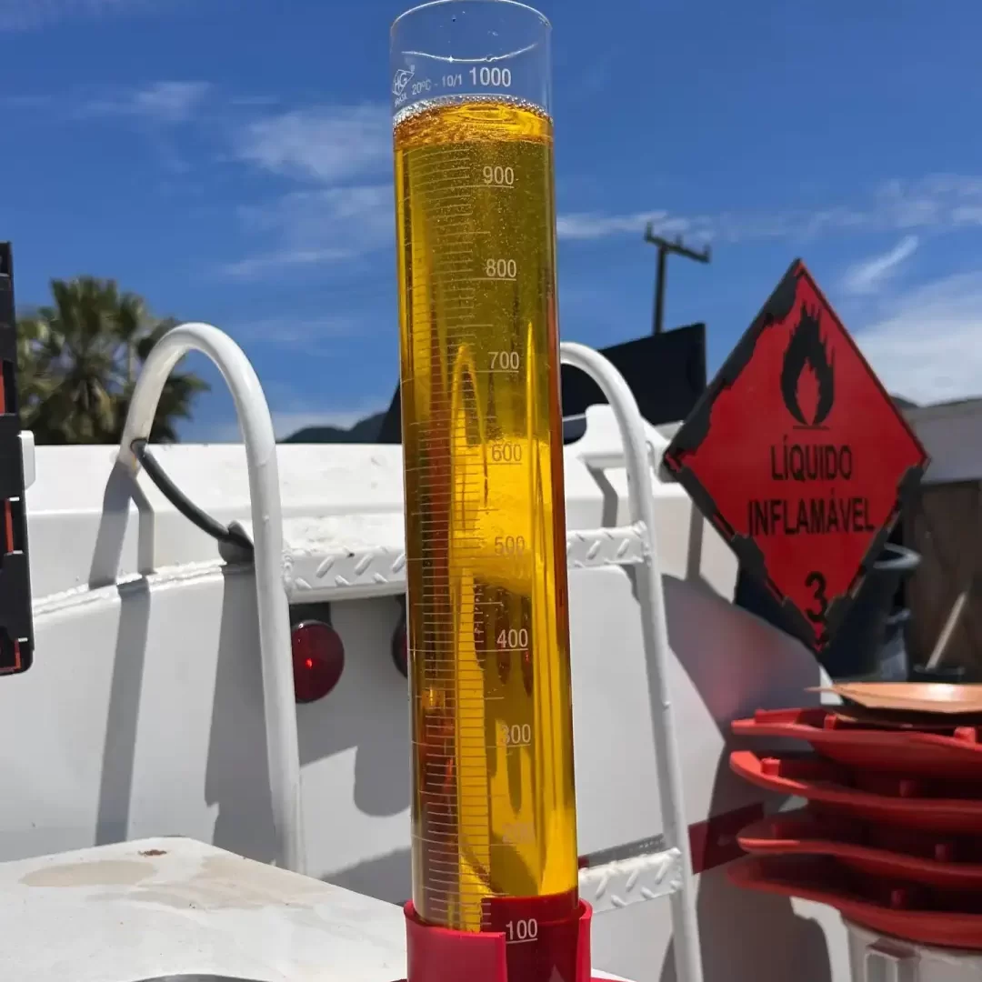 WhatsApp Image 2025-08-26 at 16.44.15